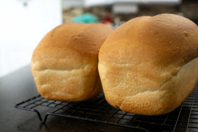 Anna’s Bread Anna's Bread